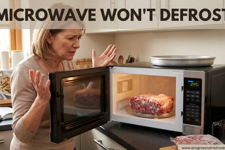 Microwave Won't Defrost