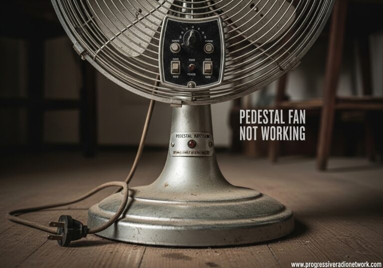 Pedestal Fan Not Working