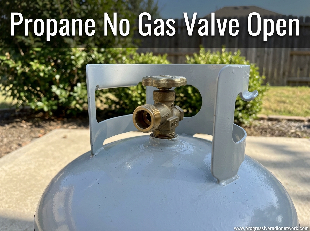 Propane No Gas Valve Open