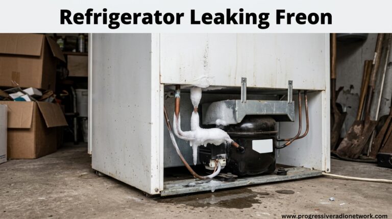 Refrigerator Leaking Freon