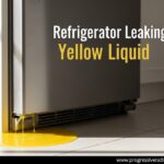 Refrigerator Leaking Yellow Liquid