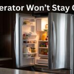 Refrigerator Won't Stay Closed
