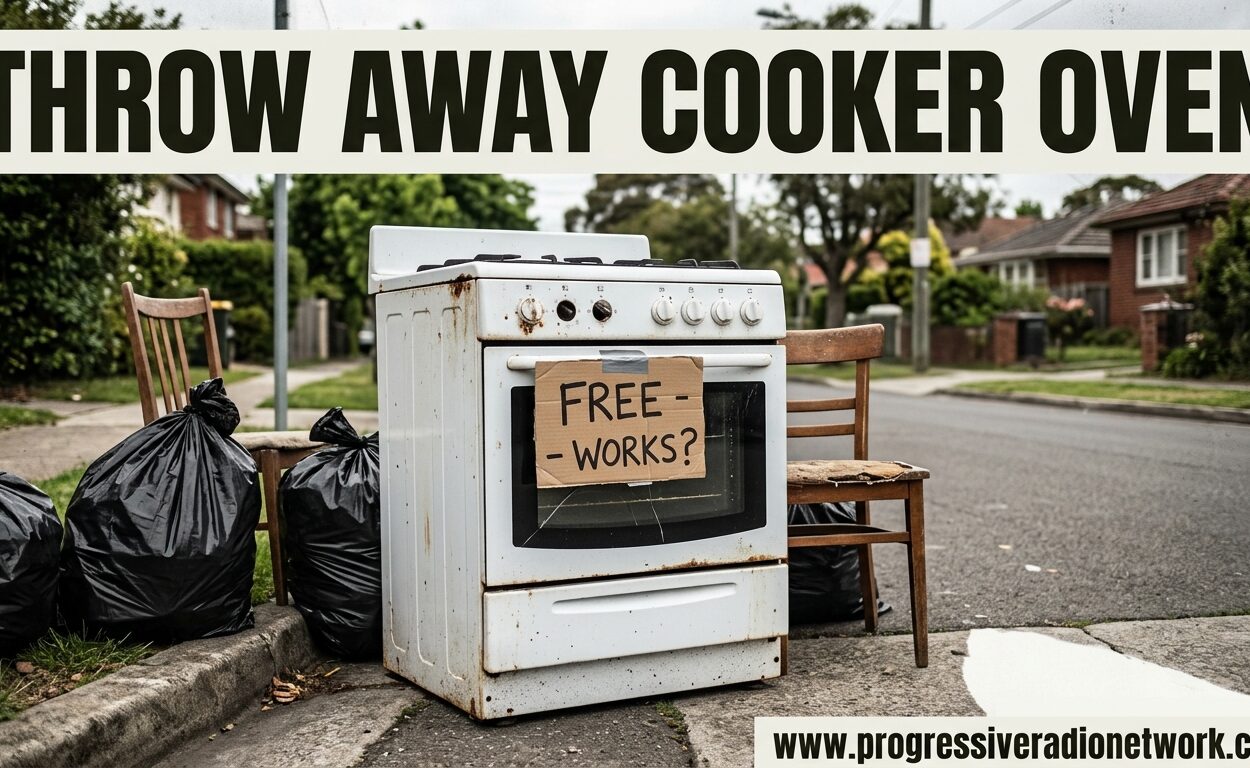 Throw Away Cooker Oven