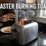Toaster Burning Toast