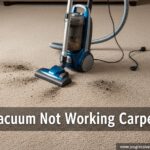 Vacuum Not Working Carpet