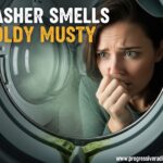 Washer Smells Moldy Musty