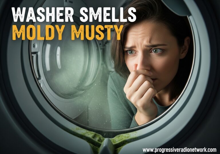 Washer Smells Moldy Musty