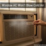 Window AC Won't Blow Cold Air