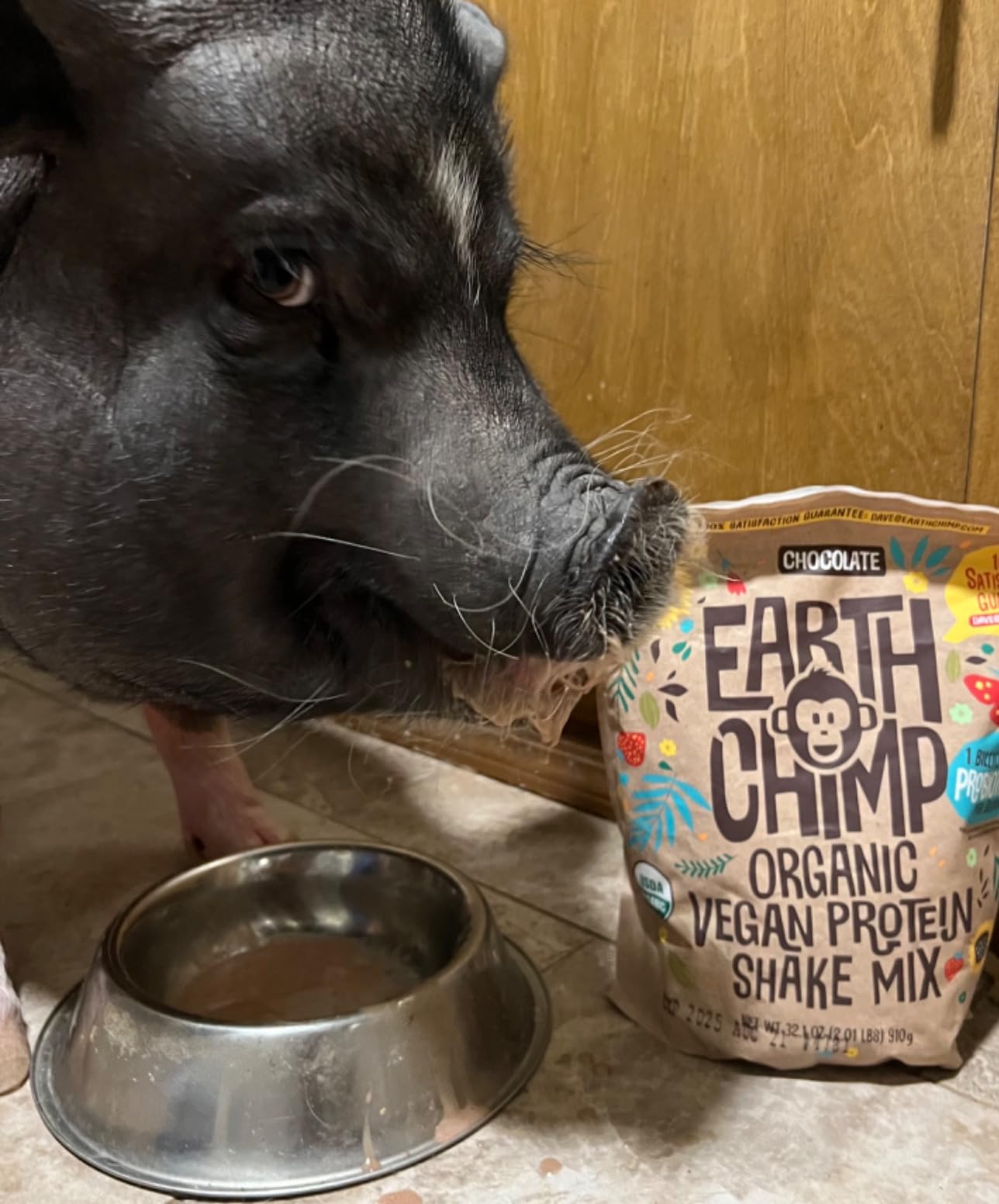 EarthChimp Organic Vegan Protein Powder - with Probiotics, Non GMO, Dairy Free, Plant Based, Gluten Free, Chocolate customer photo 2