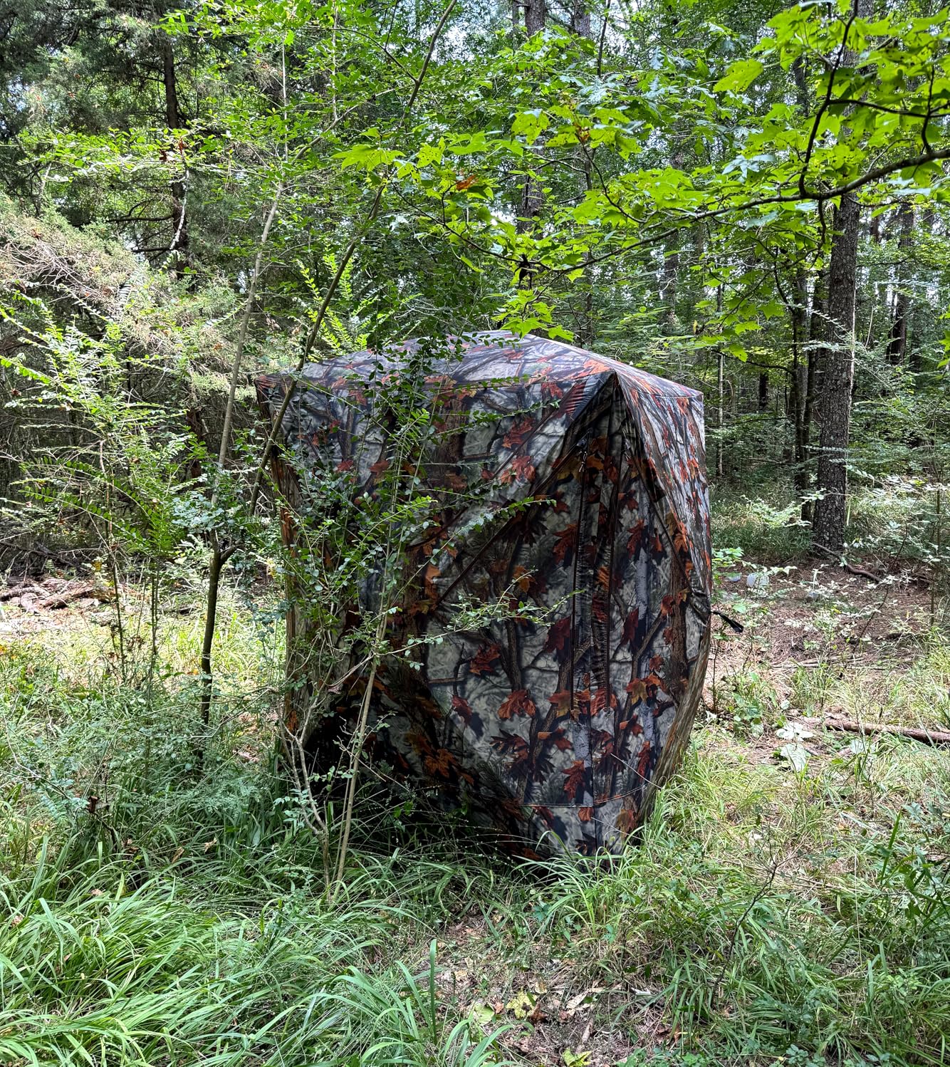 Barronett Blinds Prowler 300 Portable Hunting Blind, Tall Hub Blind, Shoot While Standing, Lightweight, 2-Person, Bloodtrail Woodland customer photo 1