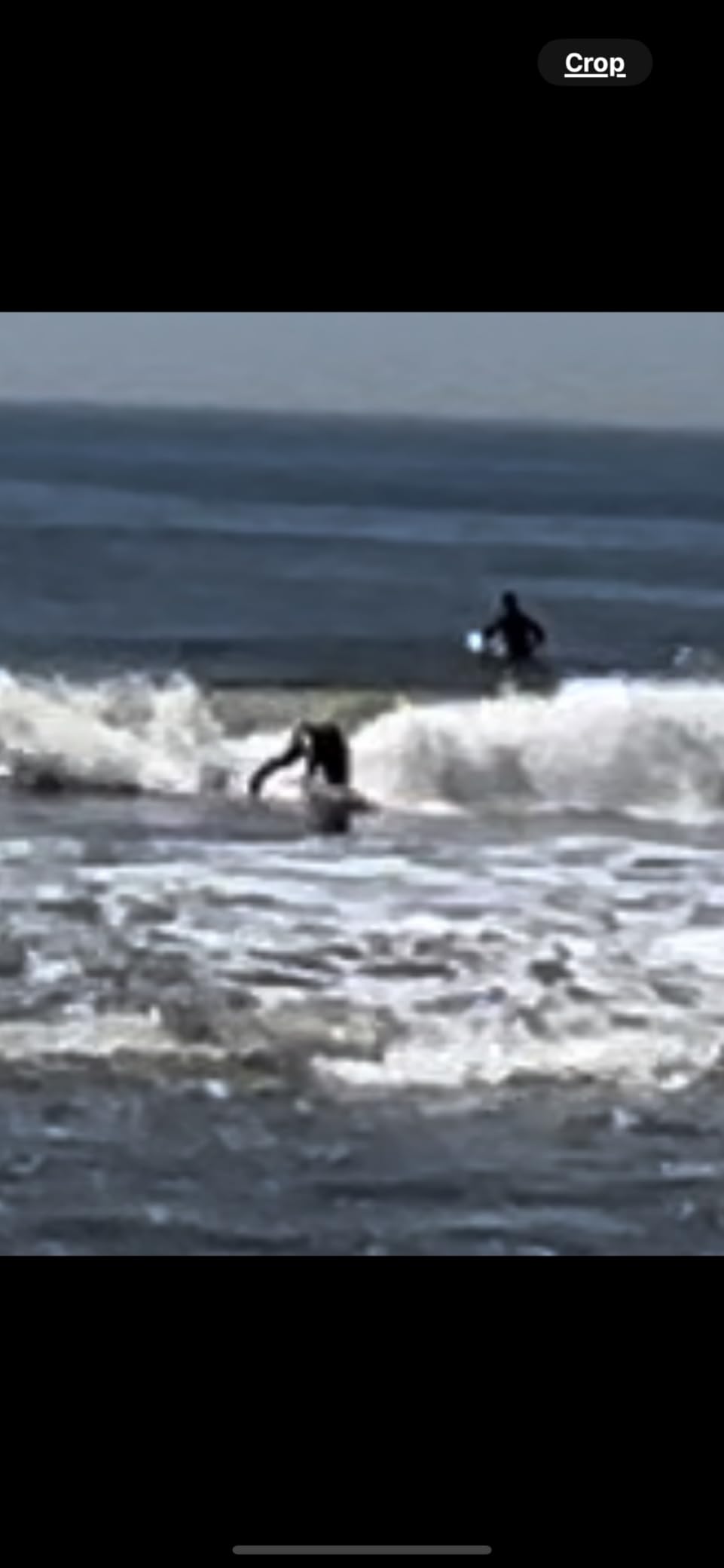 Wavestorm 8ft Surfboard // Foam Wax Free Soft Top Longboard for Adults and Kids of All Levels of Surfing, Multicolor customer photo 2
