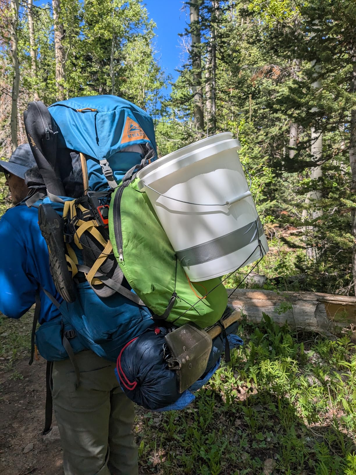 Kelty Coyote 65 Liter Internal Frame Backpack - Hiking, Backpacking, Travel, Hydration Compatible, Fully Adjustable customer photo 2