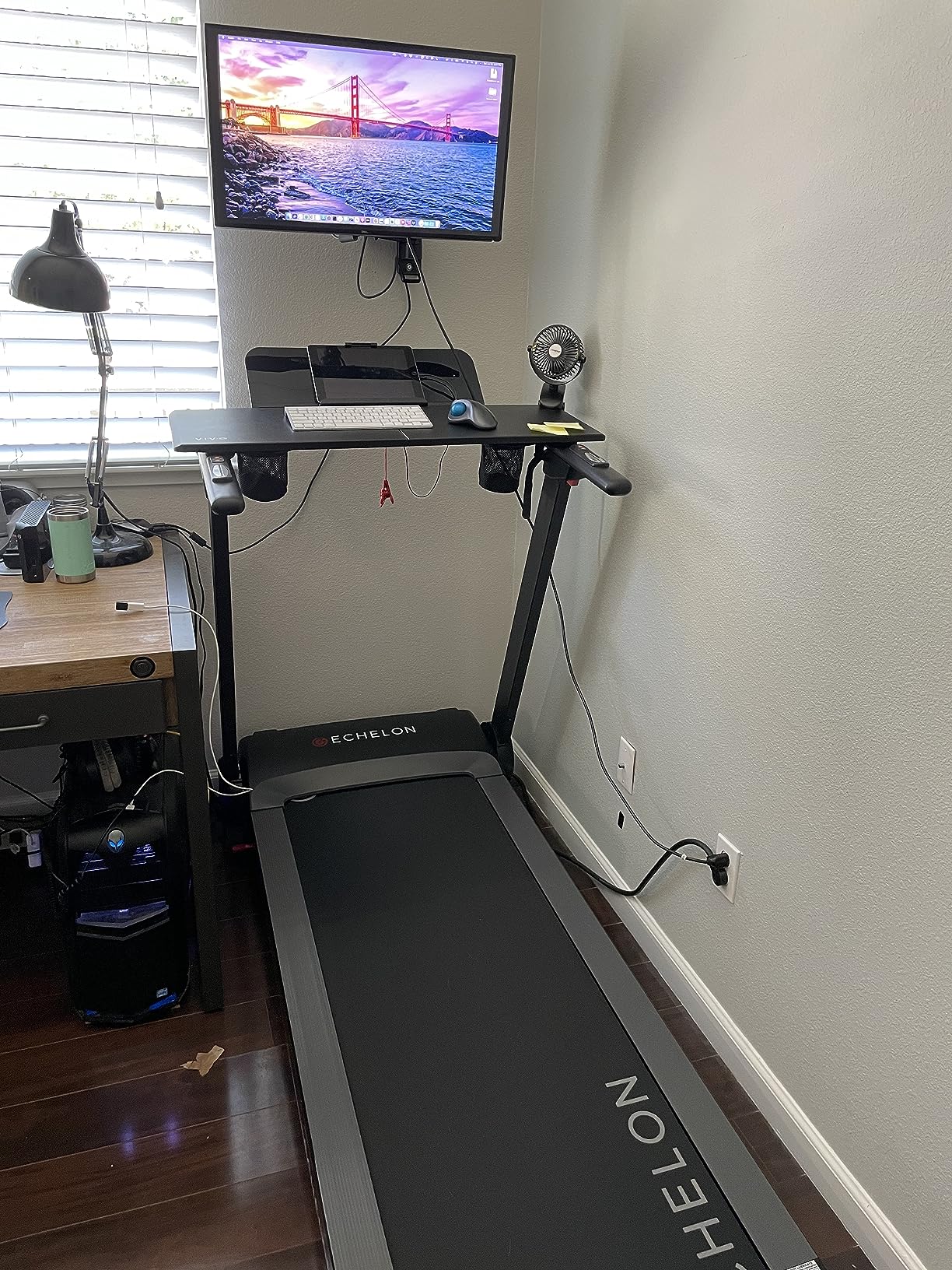 Echelon Stride Treadmill, Smart Foldable, 300 Lb Capacity, Motorized Incline, Comfortable Air Cushioning Deck, Elevate Home Workouts, Easy Storage, USB Charging Port + 30-Day Free Membership customer photo 1