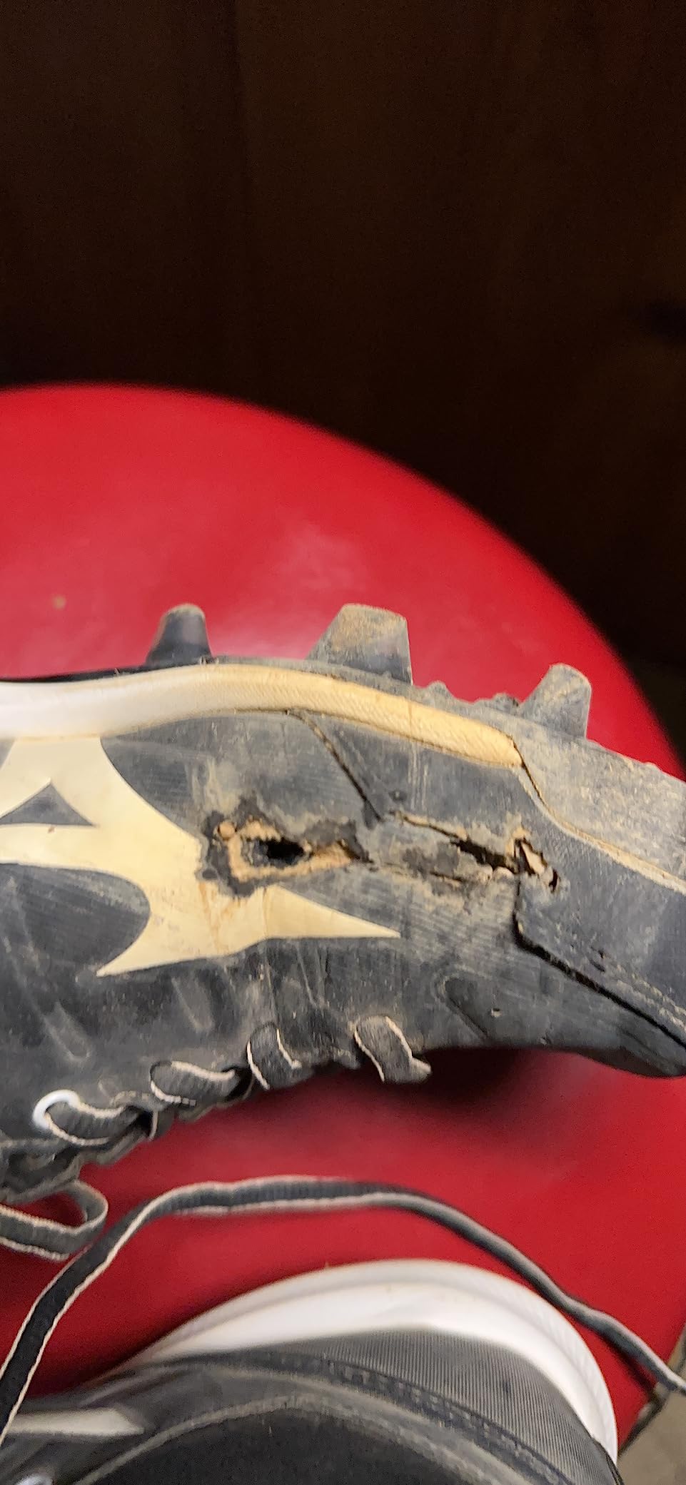 Mizuno Women's 9-Spike Advanced Finch Elite 5 Softball Shoe customer photo 2