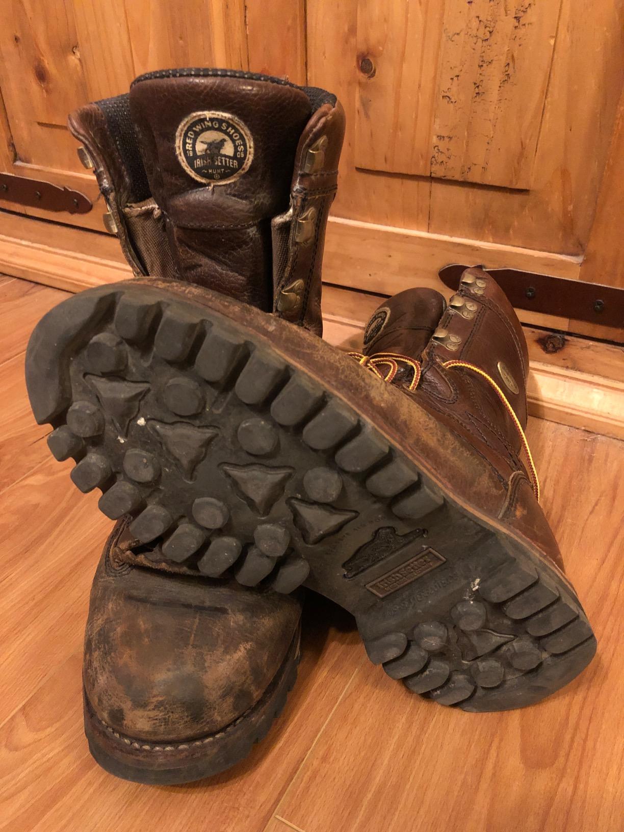 Irish Setter Elk Tracker Men's 12