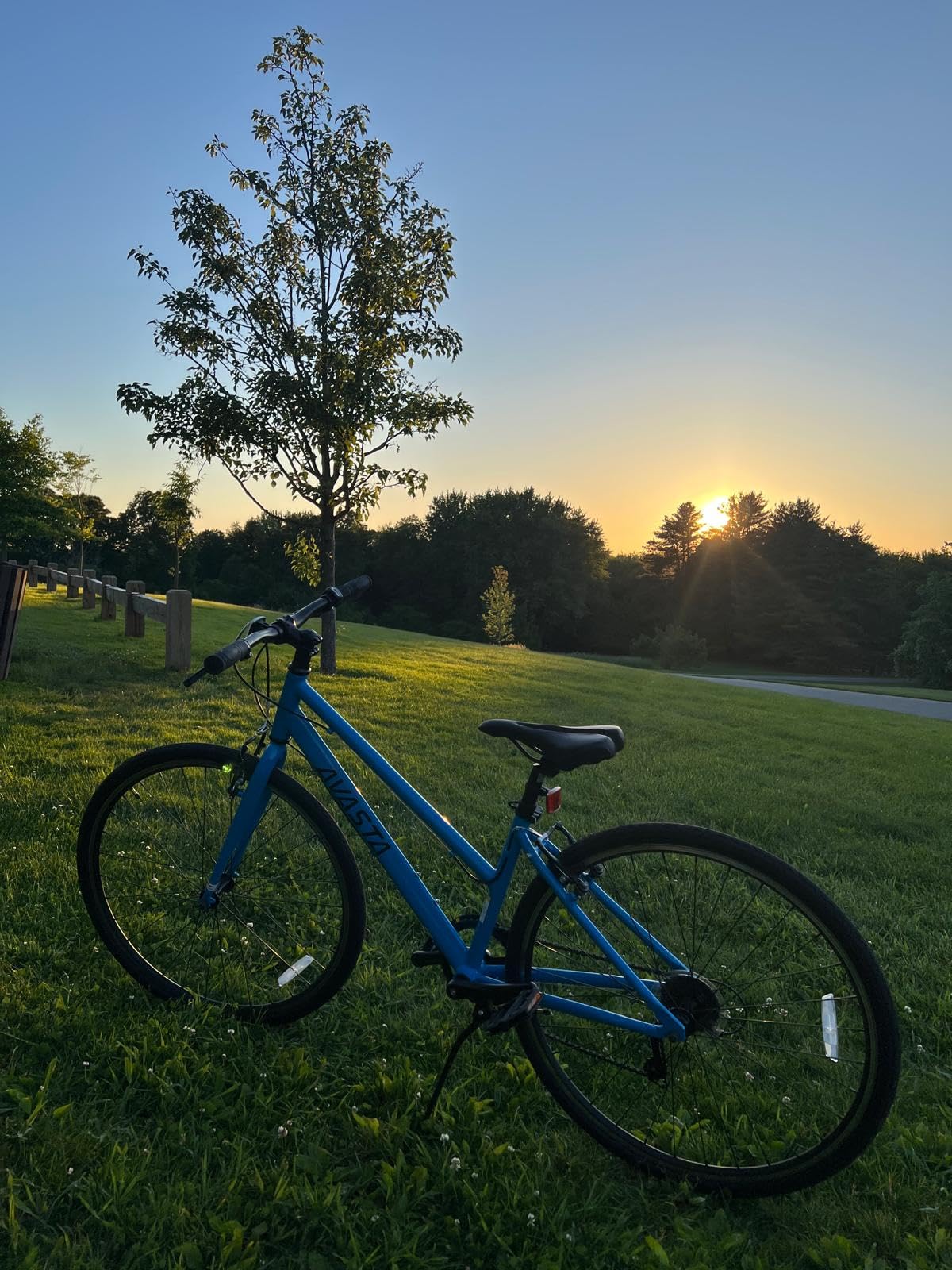AVASTA Populus 700C Road Bike for Women, Lightweight Step Through Aluminum Alloy Frame, 7-Speed customer photo 1