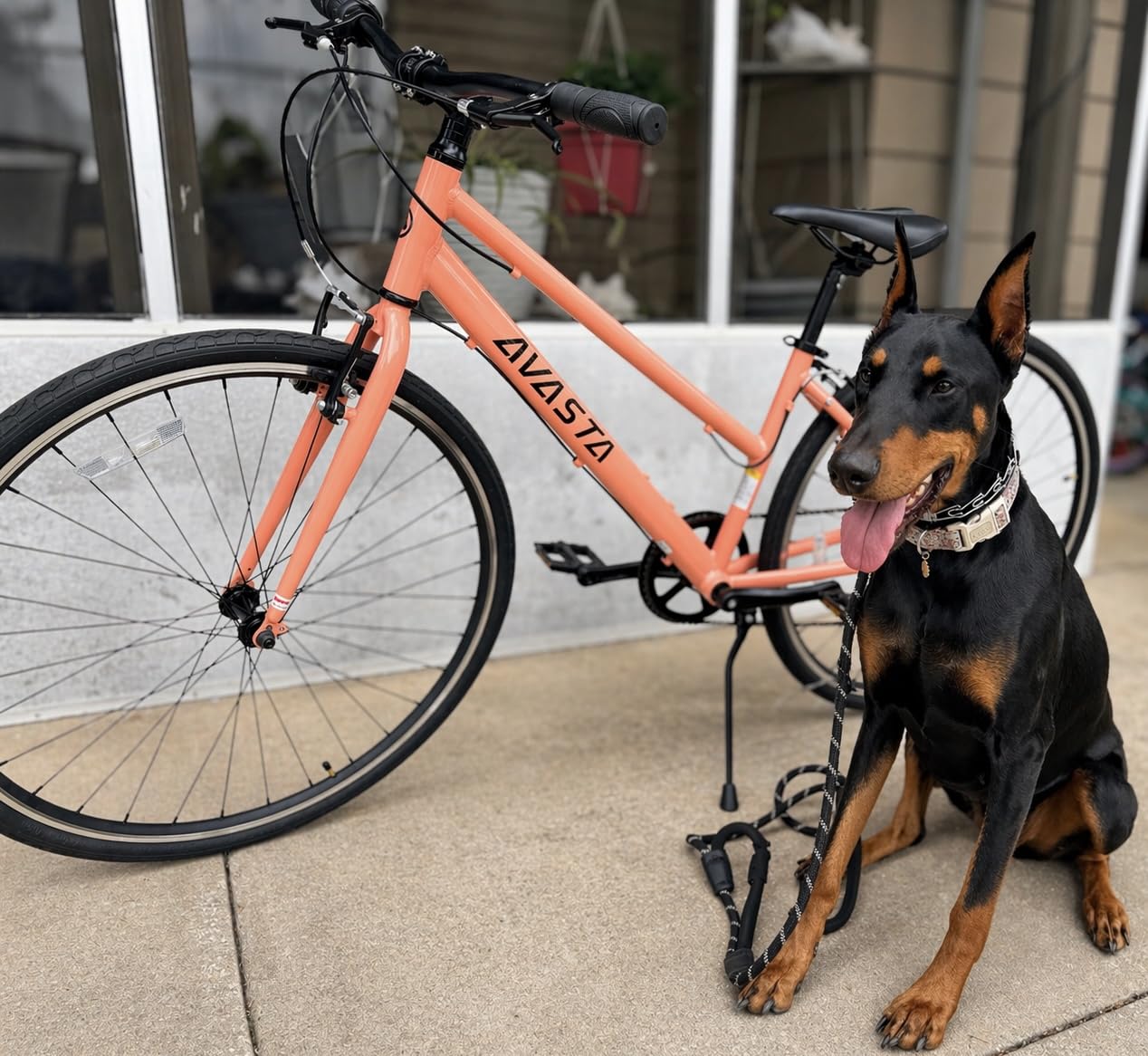 AVASTA Populus 700C Road Bike for Women, Lightweight Step Through Aluminum Alloy Frame, 7-Speed customer photo 2