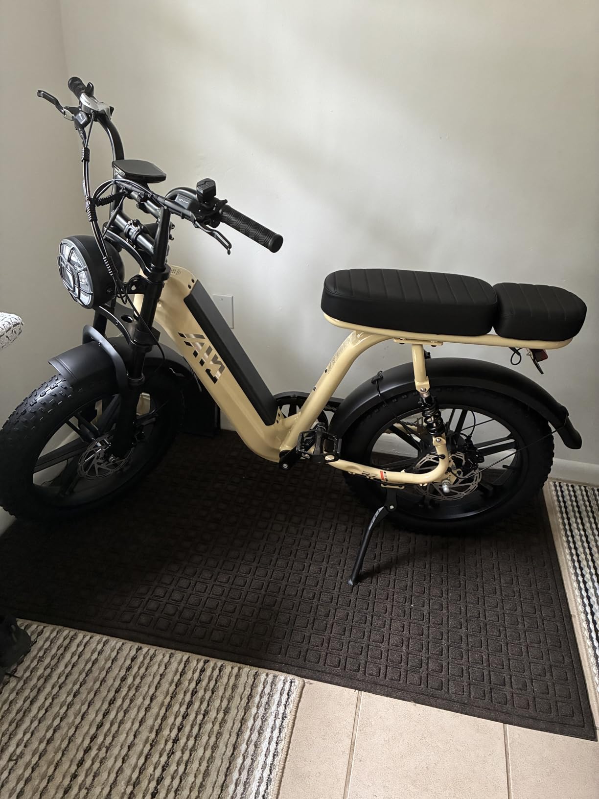 TST Electric Bike for Adults 1500W Peak 20