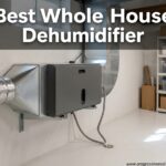 Best Whole House Dehumidifier