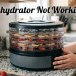 Dehydrator Not Working