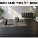 Best Horse Stall Mats for Home Gyms