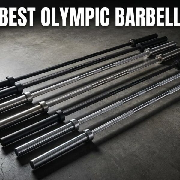 Best Olympic Barbell