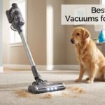 Best Cordless Vacuums for Pet Hair
