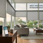 Best Motorized Window Shades