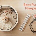 Best Puppy Playpens