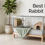 Best Indoor Rabbit Cages