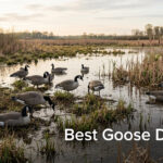 Best Goose Decoys