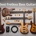 Best Fretless Bass Guitars