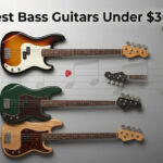 Best Bass Guitars Under $300