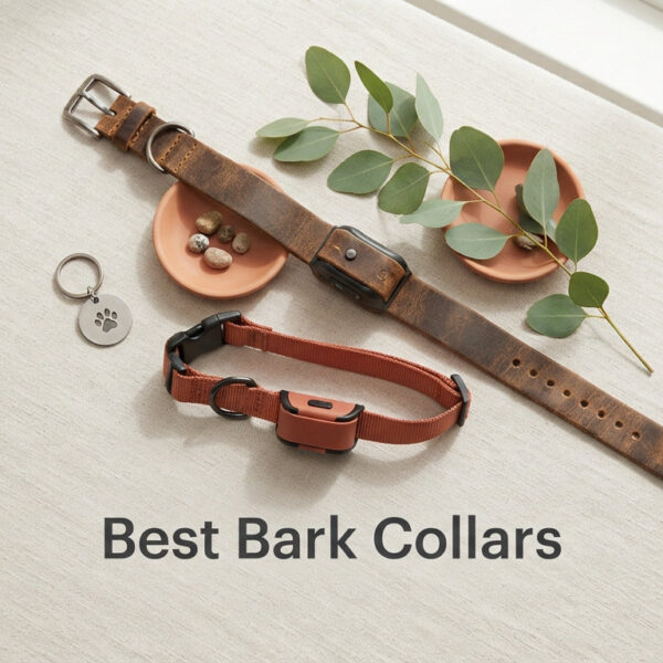 Best Bark Collars