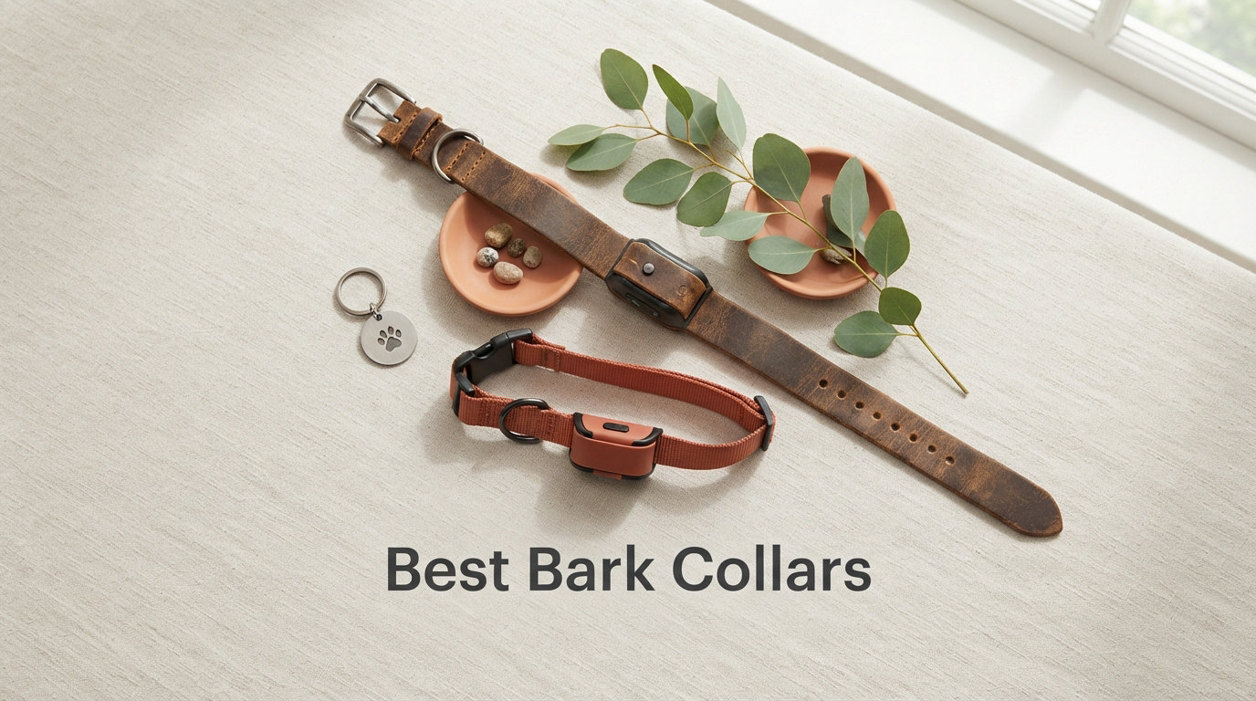 Best Bark Collars