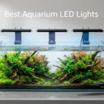 Best Aquarium LED Lights