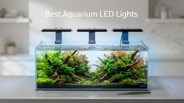 Best Aquarium LED Lights