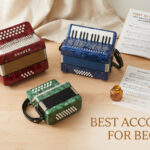 Best Accordions for Beginners