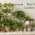 Best Vertical Garden Planters