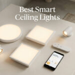 Best Smart Ceiling Lights