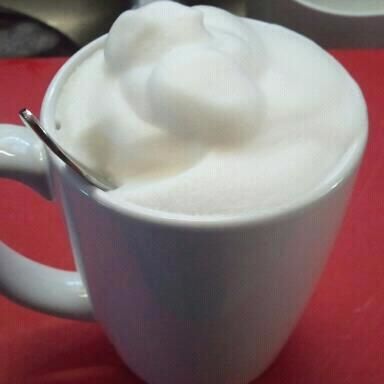 Capresso 202.04 froth PRO Automatic Milk Frother and Hot Chocolate Maker customer photo 1