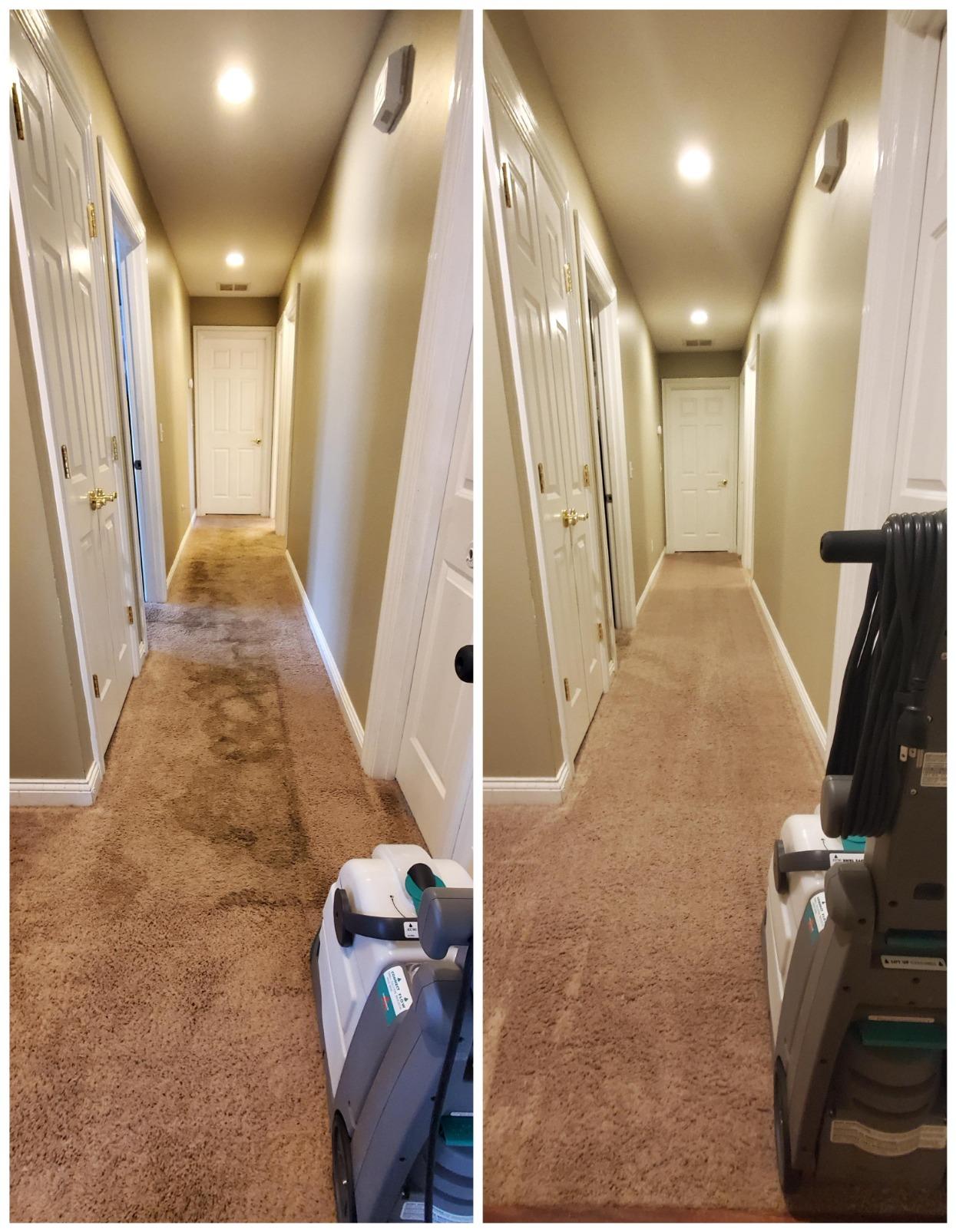 BISSELL Big Green Professional Carpet Cleaner, XL DirtLifter PowerBrush | 9-in. long reach hose; 6-in. tough stain tool; BISSELL PRO MAX Formula included; deep professional clean customer photo 1