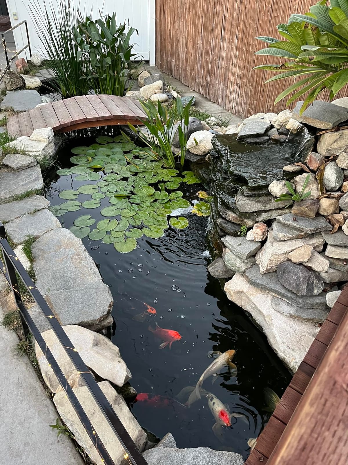 TotalPond Complete Pond Filter with UV Clarifier Black 15.16 x 9.06 x 13.11 in. customer photo 1