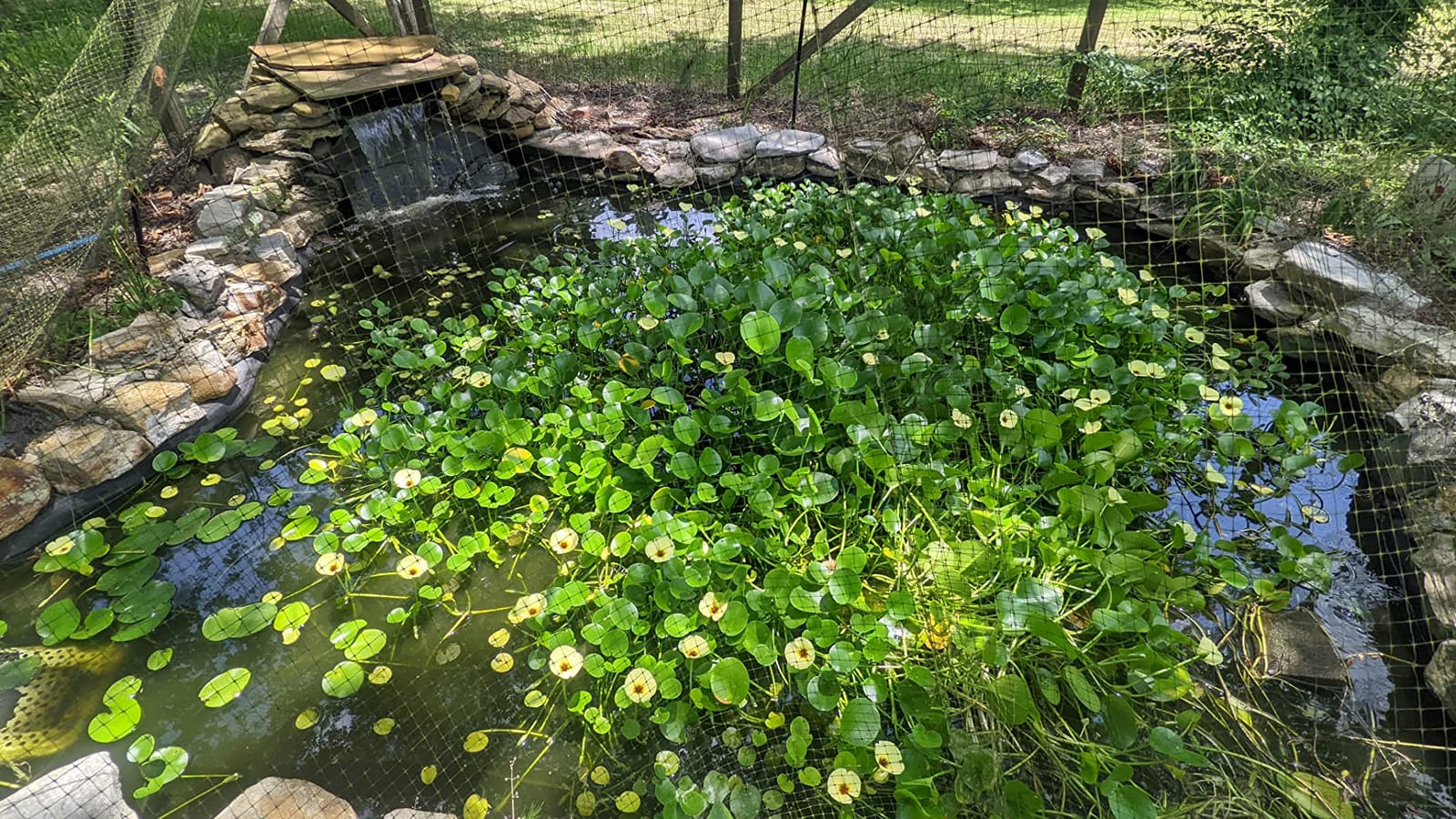 TotalPond Complete Pond Filter with UV Clarifier Black 15.16 x 9.06 x 13.11 in. customer photo 2