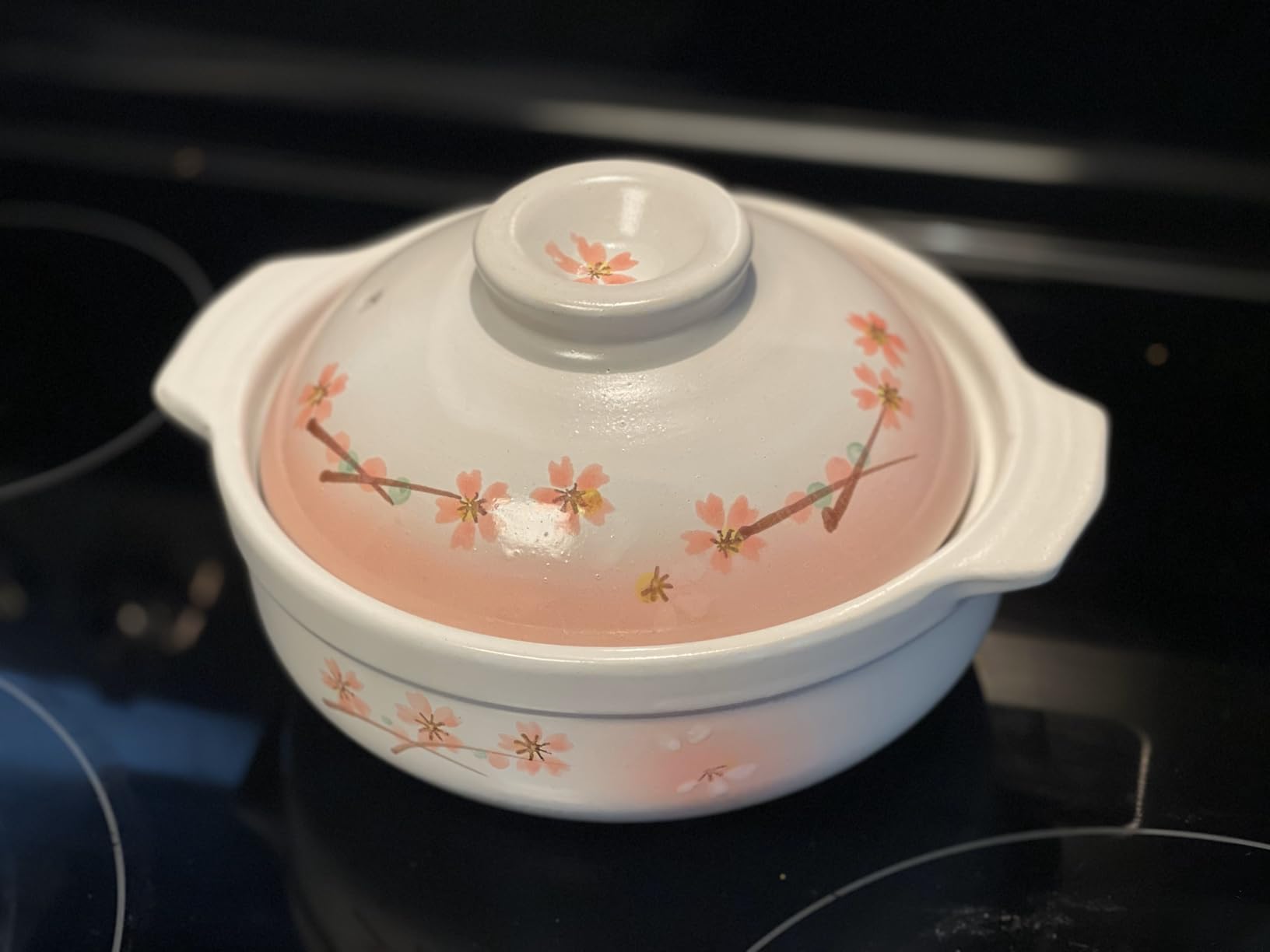 Clay Pot for Cooking Japanese Donabe Hot Pot Casserole Korean Earthenware Pot with Lid, Sakura Pattern, 7-inch, Serving 1-2 People (No.06) customer photo 1