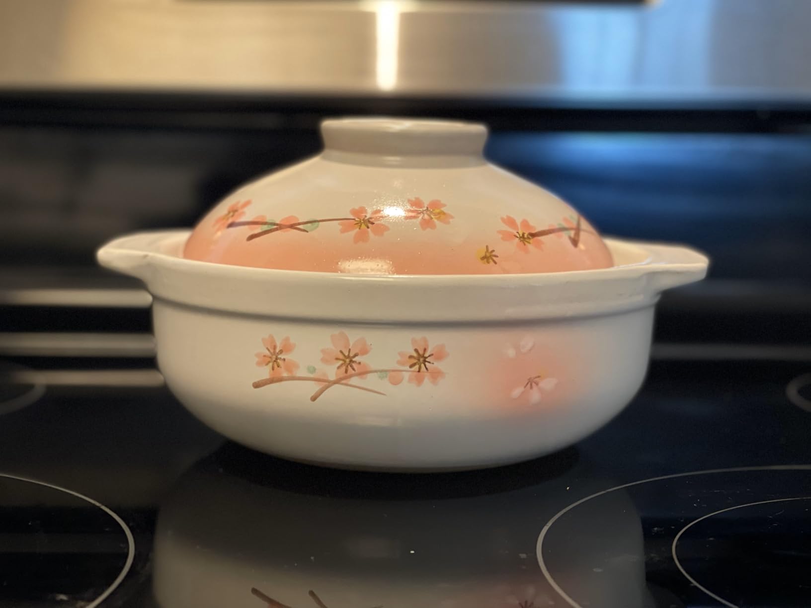 Clay Pot for Cooking Japanese Donabe Hot Pot Casserole Korean Earthenware Pot with Lid, Sakura Pattern, 7-inch, Serving 1-2 People (No.06) customer photo 2