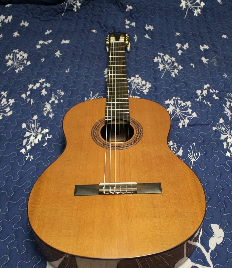 Cordoba C5 Classical w/Solid Cedar Top customer photo 1