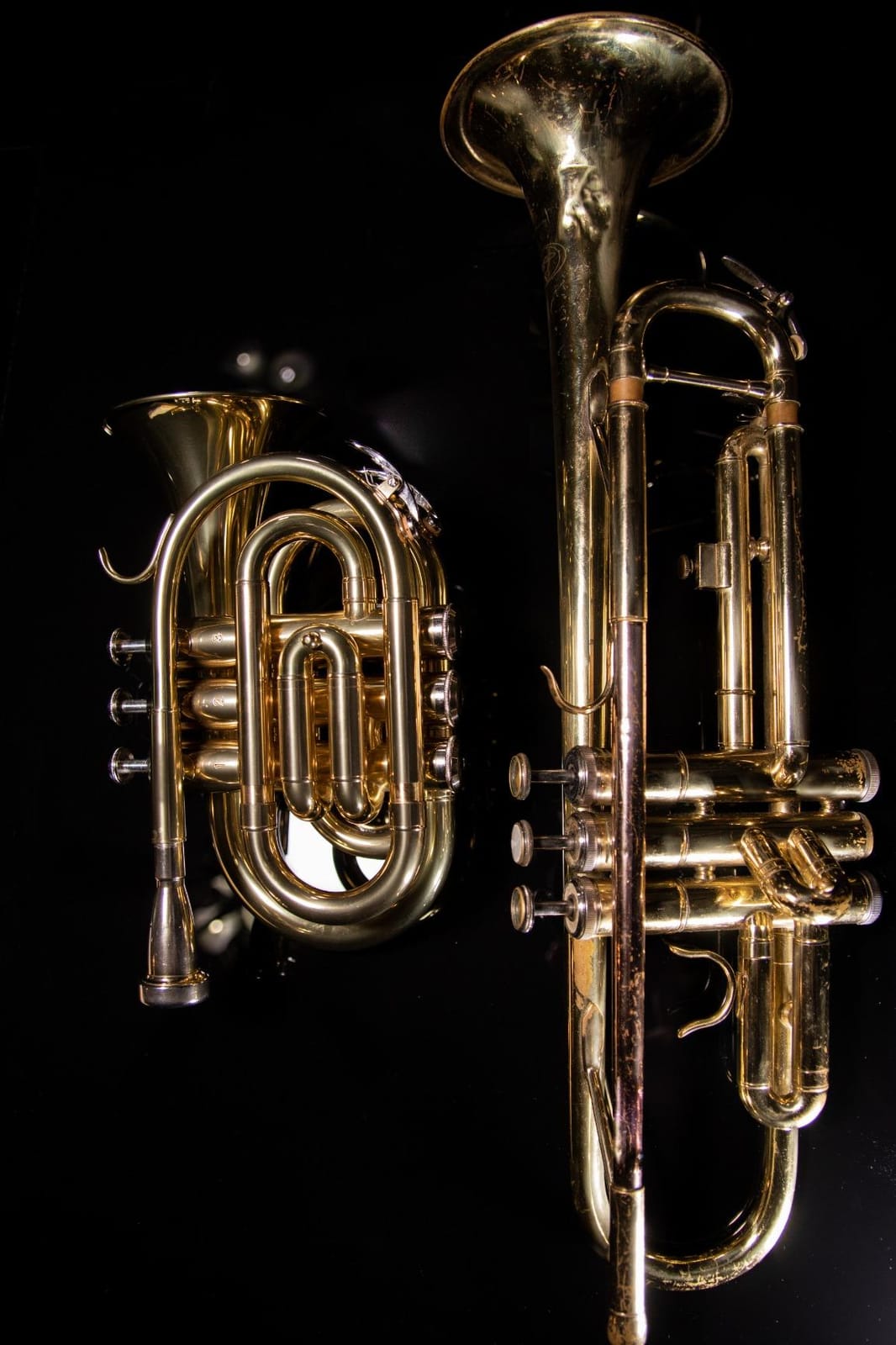 Stagg WS - TR245 Bb Pocket Trumpet with Case 6.00 x 3.00 x 8.00 inches customer photo 1