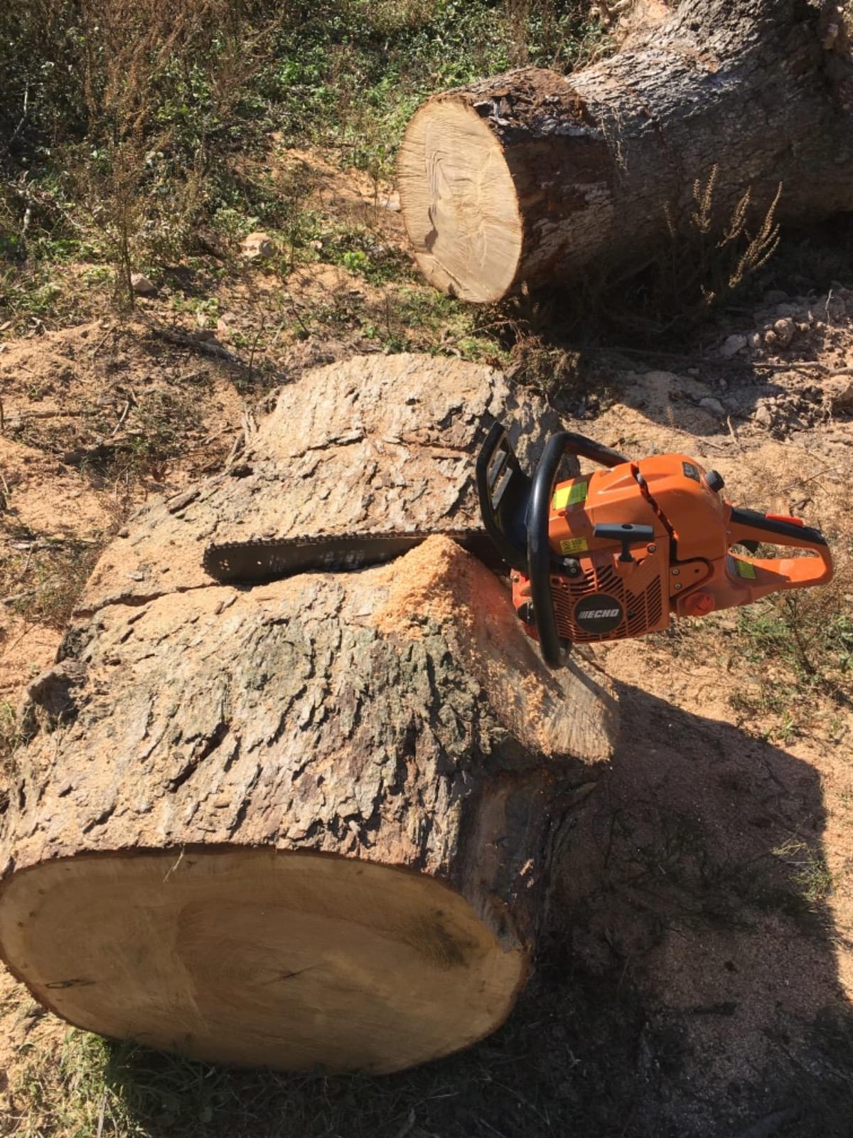 Chain Saw, Gas, 20 in. Bar, 59.8cc customer photo 1