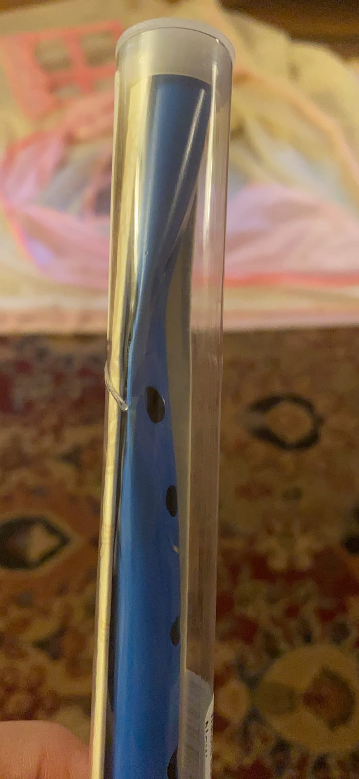 Waltons Blue Whistle Tube - Fun & Colorful Tin Whistle - Key of D - Perfect for Beginners customer photo 2
